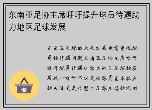 东南亚足协主席呼吁提升球员待遇助力地区足球发展