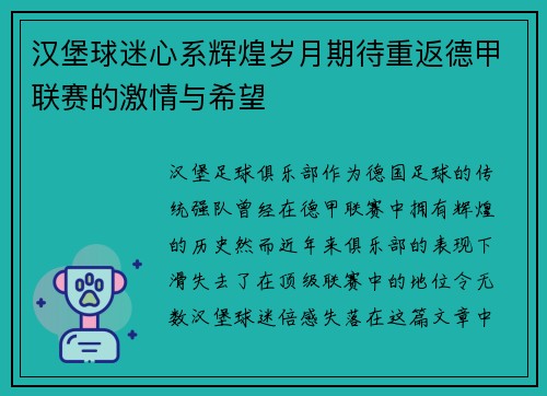 汉堡球迷心系辉煌岁月期待重返德甲联赛的激情与希望