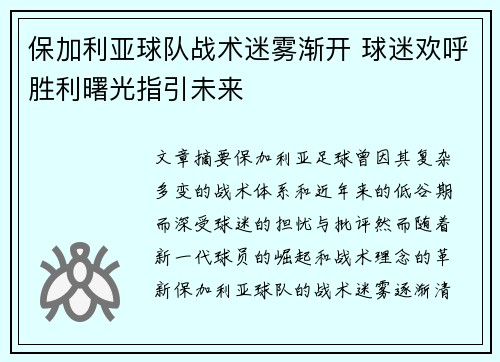 保加利亚球队战术迷雾渐开 球迷欢呼胜利曙光指引未来