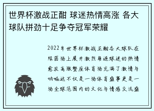 世界杯激战正酣 球迷热情高涨 各大球队拼劲十足争夺冠军荣耀
